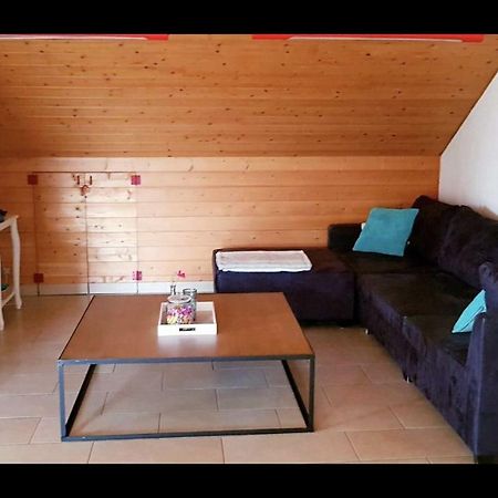 Groot Appartement Nabij Brugge Met Eigen Badkamer! Дамме Экстерьер фото